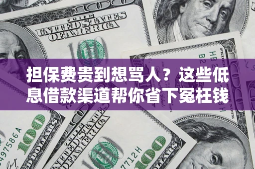 济南担保费贵到想骂人？这些低息借款渠道帮你省下冤枉钱