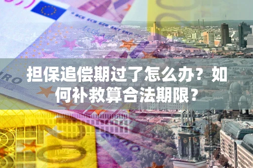 济南担保追偿期过了怎么办？如何补救算合法期限？