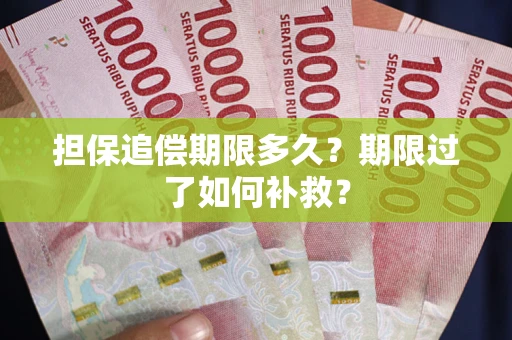 济南担保追偿期限多久？期限过了如何补救？