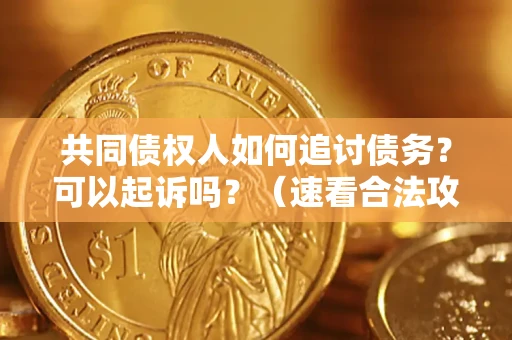 济南共同债权人如何追讨债务？可以起诉吗？（速看合法攻略）