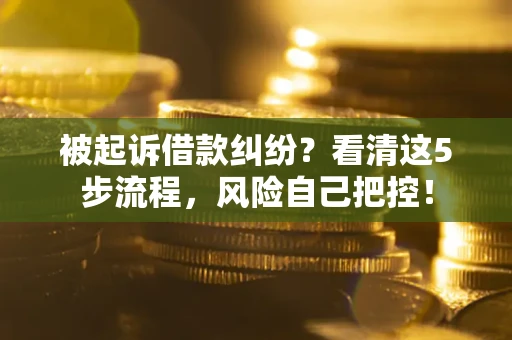 济南被起诉借款纠纷？看清这5步流程，风险自己把控！